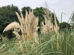 -成都中医药大学(温江校区)