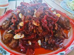 -柴窝堡22号辣子鸡·传承新疆菜