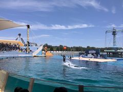 -秦皇岛乐岛海洋王国