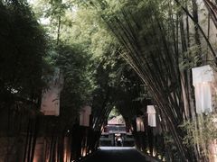 罗望乡村酒店-罗望子村酒店
