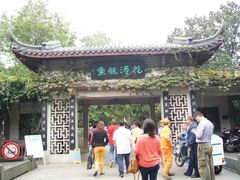 -西湖外事游船(花港观鱼码头)