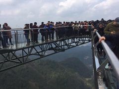 -梦幻奥陶纪景区