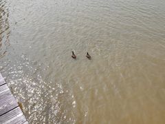 -海珠湖公园