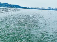 -西湖外事游船(花港观鱼码头)