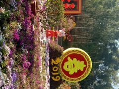 -攀枝花公园