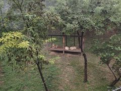 -石家庄市动物园