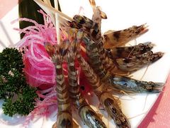 斑节虾-行家海鲜火锅酒家(静安寺店)