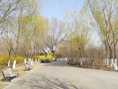 -永定河休闲森林公园