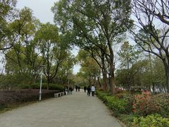 -长广溪湿地公园