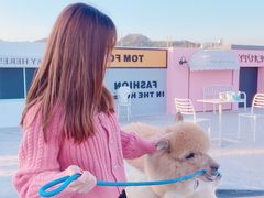 -Blue Concept Cafe&Farm·關於藍