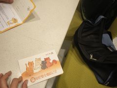 -艾吉宠物医院·疑难杂症转诊中心·猫友好(碧江路院)