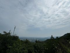 -阳台山自然风景区