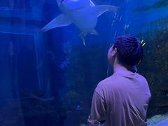 -常州海昌海洋探索馆