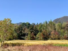 -塔川景区