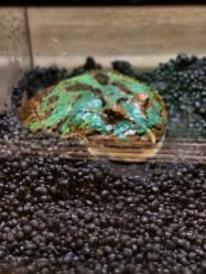 -Zoolung Zoolung动物主题公园(海信广场店)