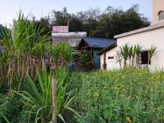 -红山村