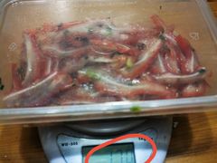 -陈记烤鸭