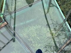 -陶祖圣境风景区