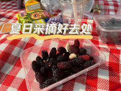 -御林古桑园