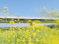 -光明小镇欢乐田园