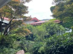 -中国茶叶博物馆(双峰馆区)