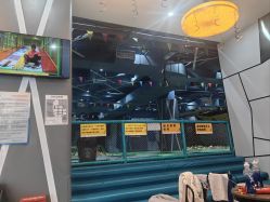 -反弹蹦床公园·亲子乐园·团建·派对(尚品奥莱店)