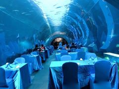 -海棠湾洲际-涛·海底餐厅·美人鱼·自助餐·海底隧道