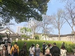 -三林塘老街
