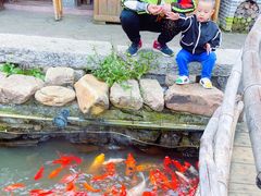 -竹泉村旅游度假区
