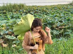 -七的湖·晚芳亭·阳澄湖农家菜·大闸蟹(莲花岛店)