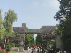 -溱湖国家湿地公园