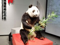 -重庆自然博物馆(新馆)