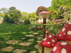 -上海鲜花港