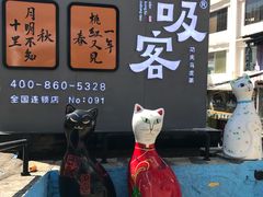 -猫咪博物馆(顶澳仔猫街店)