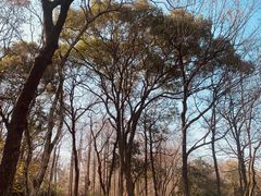 -古韵餐厅(湖畔大学店)