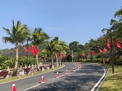 -野狸岛