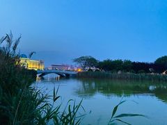 -南开大学滨海学院