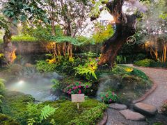 -Chom Cafe and Restaurant