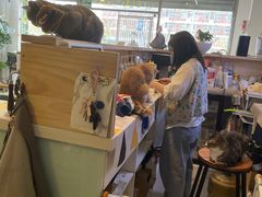 -平行世界·猫咖(首经贸店)