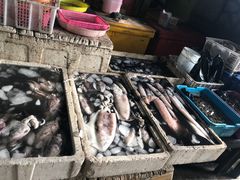 -金巴兰鱼市场