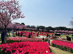 -凤凰沟景区