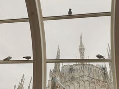 -文艺复兴百货(米兰大教堂广场店)