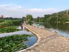 景点-前关湿地公园