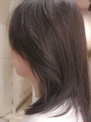 -爱维丽
