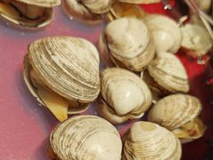 -鲜鲜·鲅鱼圈海鲜(于洪店)