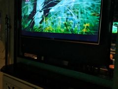 -欢乐迪KTV(南坪上海城店)
