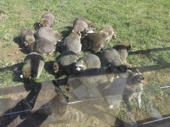 -秦皇岛野生动物园