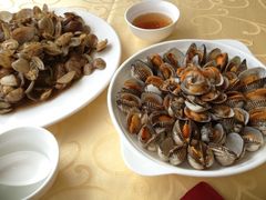 辣炒蛤蜊和毛蚶-海岛渔村大酒店(云霄路店)
