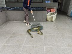 -江龙饭店·乌江豆腐鱼(乌江老桥头店)