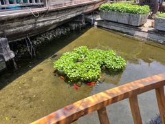 -天怡·鱼工厂(临江店)